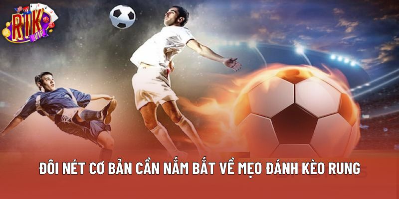 Đôi nét cơ bản cần nắm bắt về mẹo đánh kèo rung Đôi nét cơ bản cần nắm bắt về mẹo đánh kèo rung